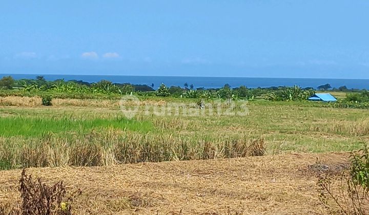 Beautiful Land With Amazing Sea And Mountain View Beautiful Land With Amazing Sea And Mountain View