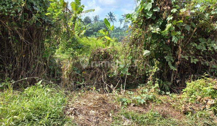 TANAH SUPER CANTIK DAN SIAP BANGUN 5