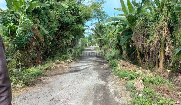 TANAH SUPER CANTIK DAN SIAP BANGUN 6