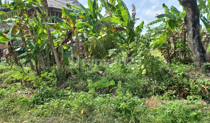TANAH SUPER CANTIK DAN SIAP BANGUN 10