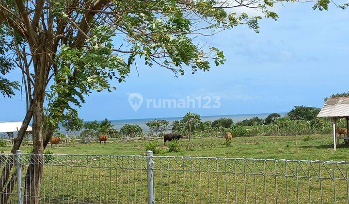 TANAH CANTIK 100 METER DARI PANTAI 2