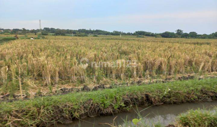 BEAUTIFUL LAND WITH SEA VIEW 2