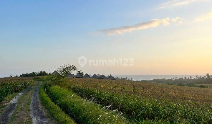 BEAUTIFUL LAND WITH SEA VIEW 1