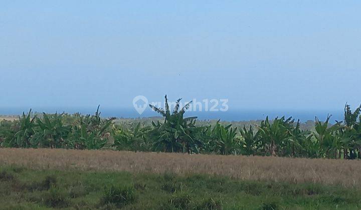 BEAUTIFUL LAND WITH SEA VIEW 1