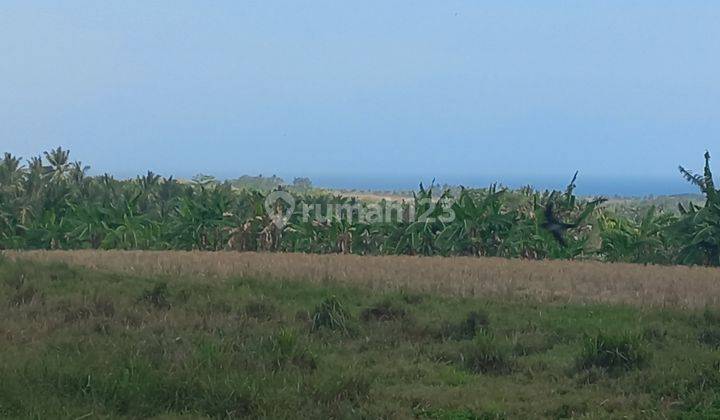 BEAUTIFUL LAND WITH SEA VIEW 2