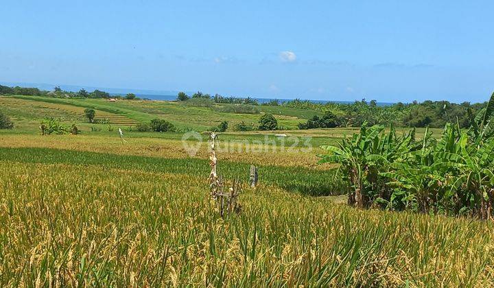 BEAUTIFUL LAND WITH SEA VIEW 1