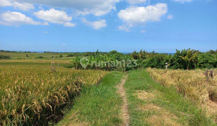 BEAUTIFUL LAND WITH SEA VIEW 2