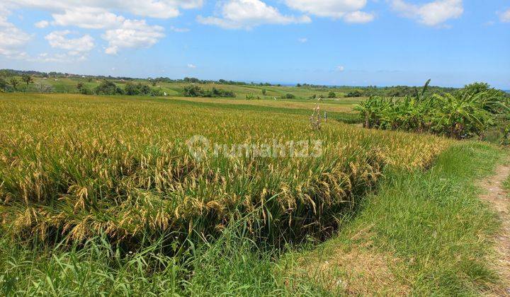 BEAUTIFUL LAND WITH SEA VIEW 1