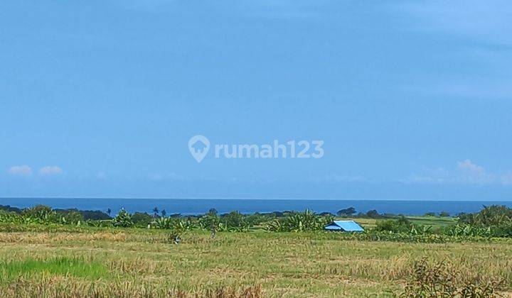 BEAUTIFUL LAND WITH SEA VIEW 1