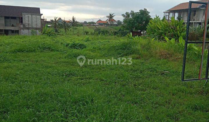 BEAUTIFUL LAND CLOSE TO BEACH di CANGGU CLOSE TO ECHO BEACH 2