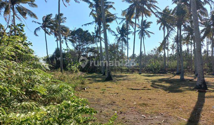 ABSOULUTLY BEACH FRONT LAND VERY BEAUTIFUL AND FALT LAND ON THE ROAD 1