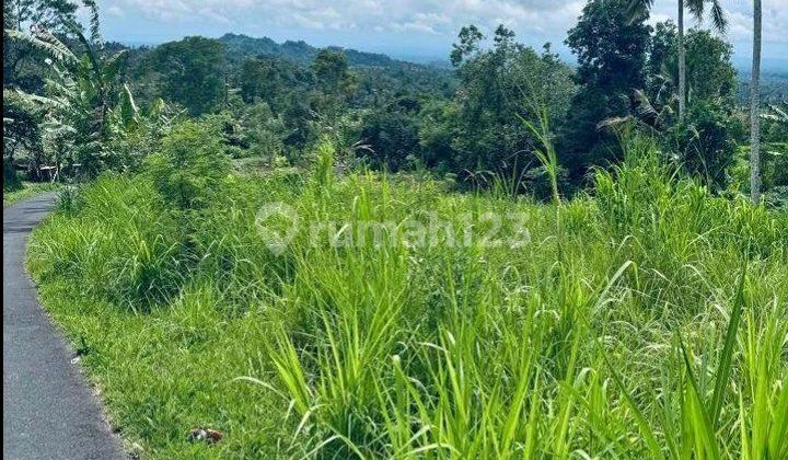 Beautiful Land Beautiful Land