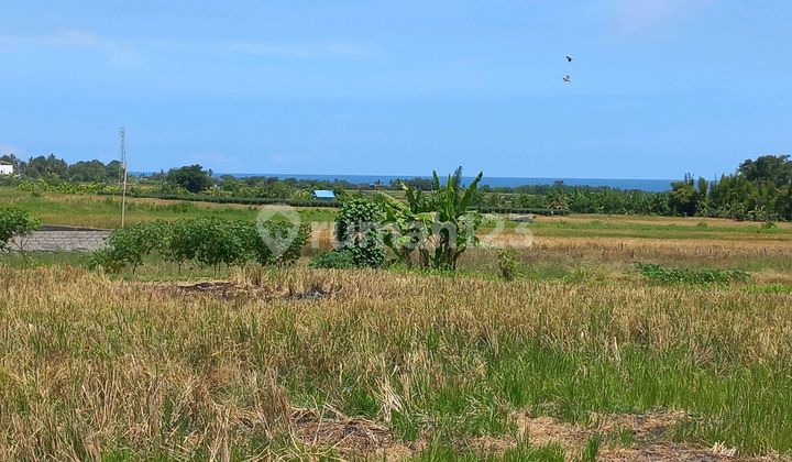 Beautiful Land With Amazing Sea View Beautiful Land With Amazing Sea View