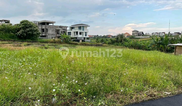 Beautiful Land Close To Beach Beautiful Land Close To Beach