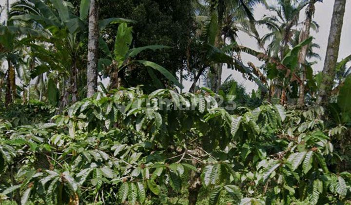 Beautiful Land Beautiful Land