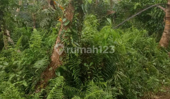 Beautiful Land Beautiful Land