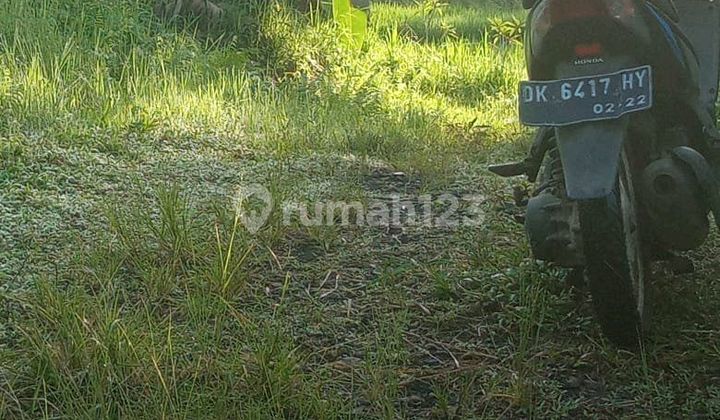 Beautiful Land With Rice Field And Mountain View