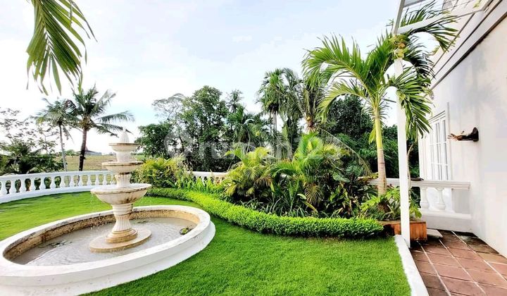 Beautiful Villa With Rice Field View 2