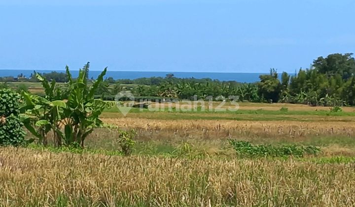 Beautiful Land With Amazing Sea View Beautiful Land With Amazing Sea View