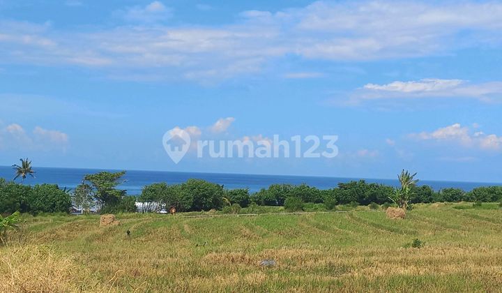 Very Beautiful Land with Sea and Mountain Views