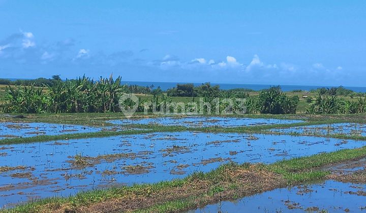 Super Beautiful Land and Special View Super Beautiful Land and Special View