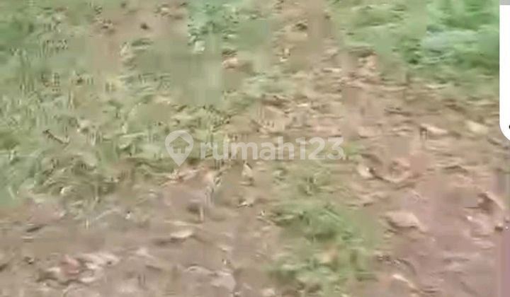 Beautiful Land Beautiful Land