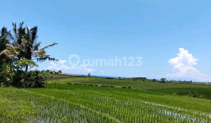 Beautiful Land With Sea View Beautiful Land With Sea View