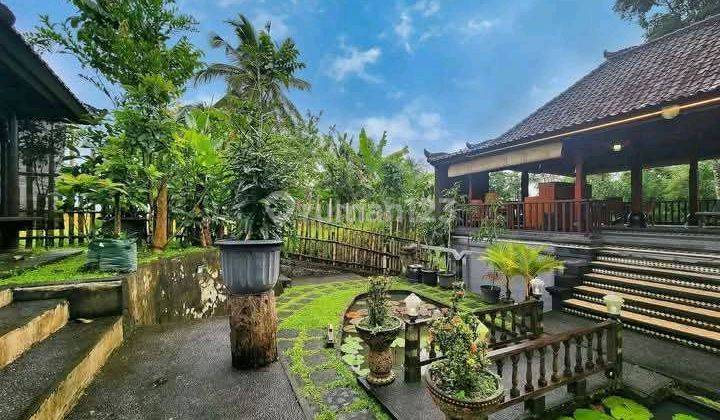 Beautiful Villa River Side, Rice Field And Mountain View 1