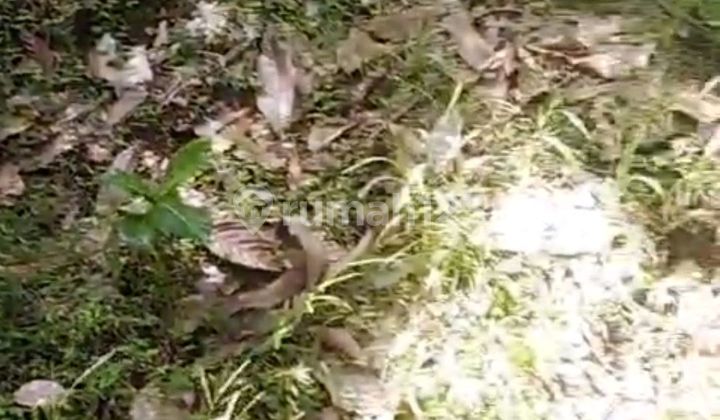 Beautiful Land With River Side And Rice Field View Beautiful Land With River Side And Rice Field View