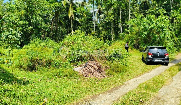 Beautiful Land With Cheap Price 2