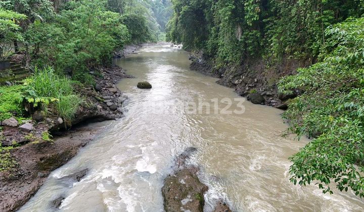 Beautiful Land With Big River