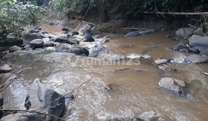 Beautiful Land with Rice Field and River View Beautiful Land with Rice Field and River View