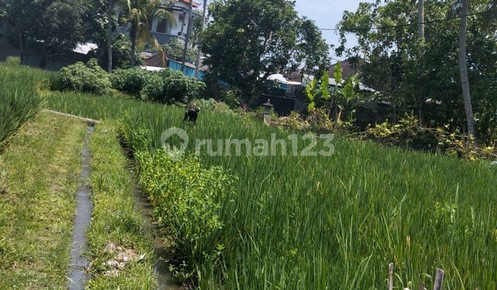 Tanah Indah dengan Pemandangan Laut Tanah Indah dengan Pemandangan Laut