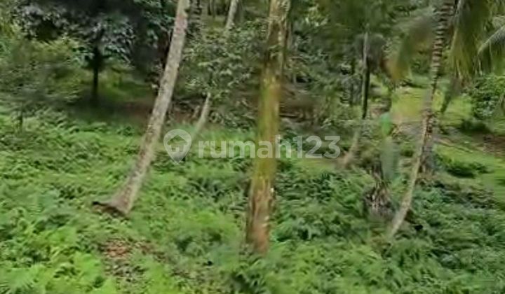 Beautiful Land With River Side