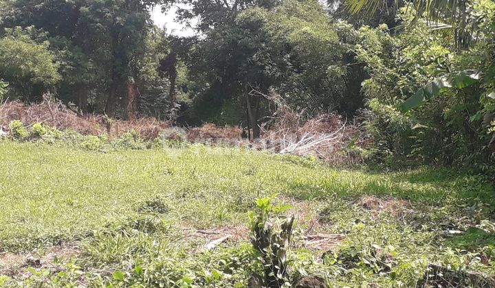 Beautiful Land With.beautiful River