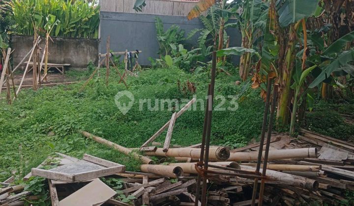 Beautiful Land Beautiful Land