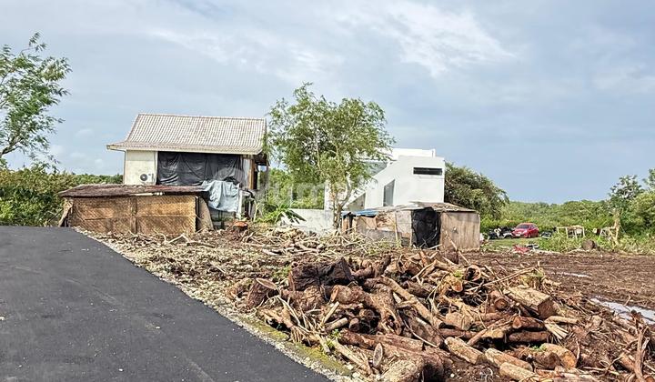 Beautiful Land Beautiful Land