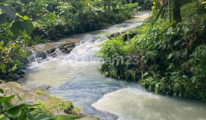 Beautiful Land Beautiful Land