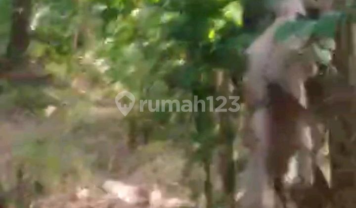 Beautiful Land with a Large River View Beautiful Land with a Large River View