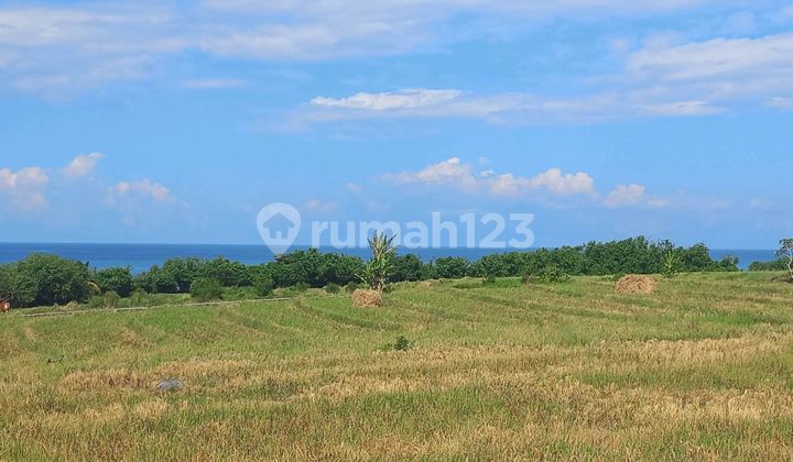 Very Beautiful Land with Sea and Mountain Views