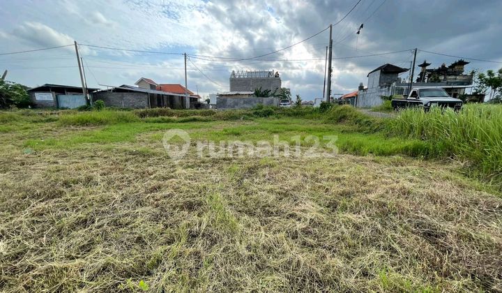 Beautiful Land With Rice Field View Beautiful Land With Rice Field View