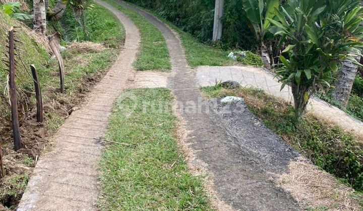 Beautiful Land with Rice Field and River View Beautiful Land with Rice Field and River View