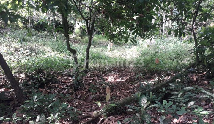 Beautiful Land With River Side Beautiful Land With River Side