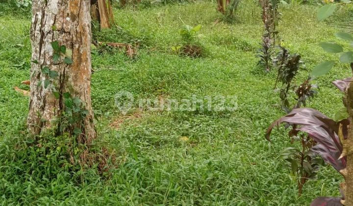 Beautiful Land Beautiful Land