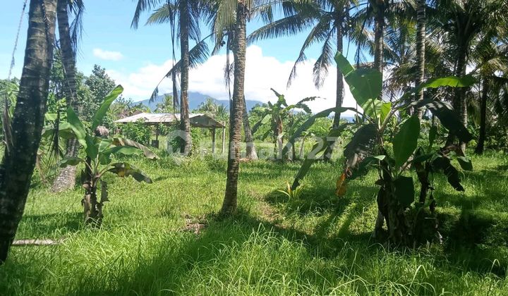 Tanah Indah Tanah Indah