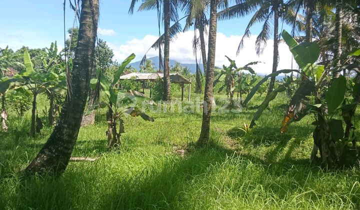 Tanah Indah Tanah Indah