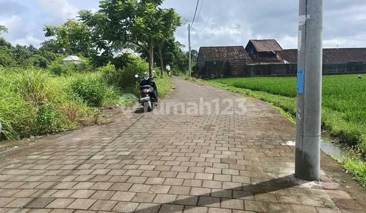 Beautiful Plot Land Beautiful Plot Land