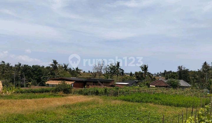 Beautiful Land, located in Yeh Gangga Tabanan Beautiful Land, located in Yeh Gangga Tabanan