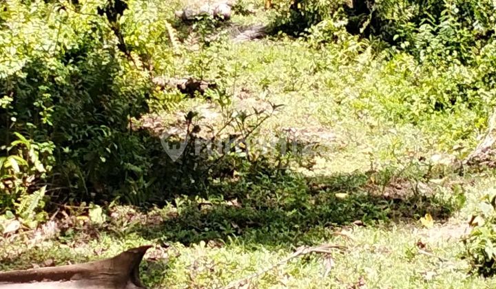 Beautiful Land Beautiful Land