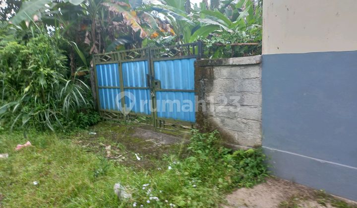 Tanah Indah Dengan Sawah Dan Pinggir Sungai Tanah Indah Dengan Sawah Dan Pinggir Sungai